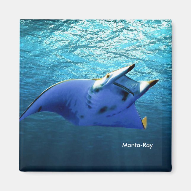 Fiskbild för kvadratmaskor magnet (Framsidan)