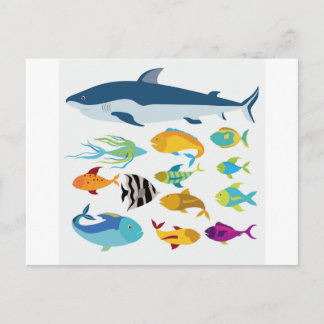 fiskdesign vykort