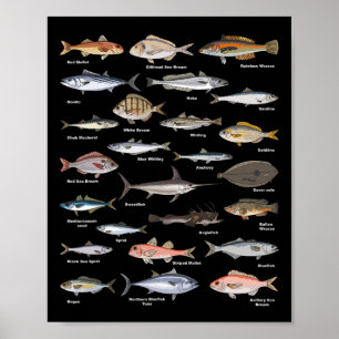 Fiske efter fiskeidentifieringsdiagram för vintage poster