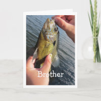 Fiske efter Humor efter broderdagskorrigering