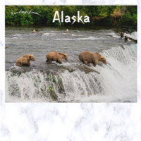 Fiske efter mor och björn Unge i Alaska