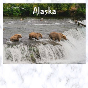 Fiske efter mor och björn Unge i Alaska Vykort