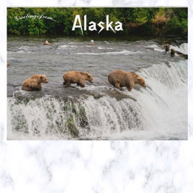 Fiske efter mor och björn Unge i Alaska Vykort (Skapare uppladdad)