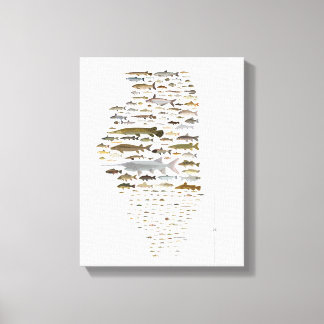 Fiske efter Poster illinois Canvastryck