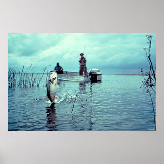 Fiske efter stor muskelmassa poster