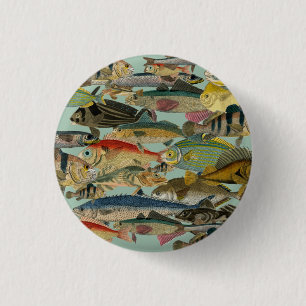 Fiske Fiskare Djuphavsfiske Exotic Tropical Knapp