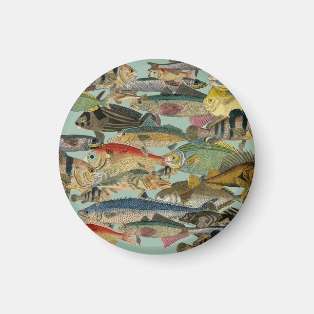 Fiske Fiskare Djuphavsfiske Exotic Tropical Magnet (Framsidan)