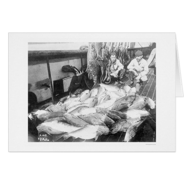 Fiske i Alaska 1922 Hälsningskort (Framsidan Horizontal)