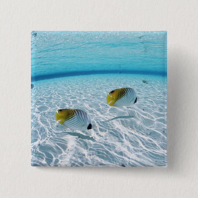 Fiske i havet 2 knapp (Framsida)