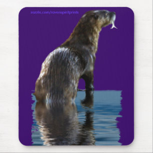 Fiske i HAVET av OTTER-musslor Musmatta