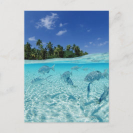 Fiske i havet vykort