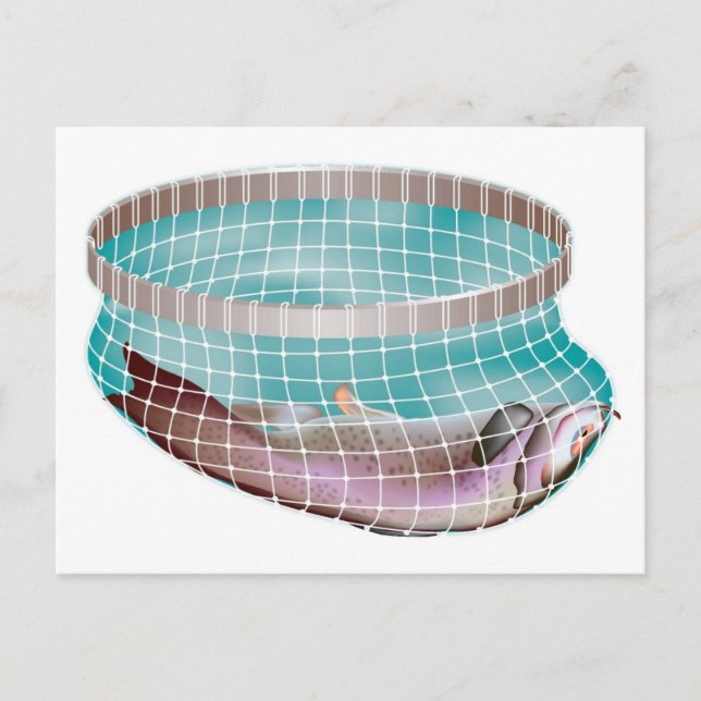 Fiske i nät vykort (Framsida)