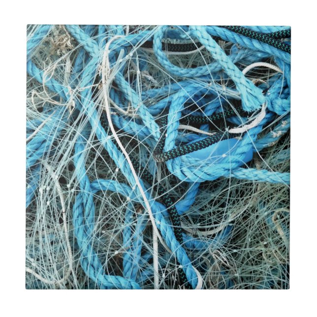 FISKE KAKELPLATTA (Framsidan)