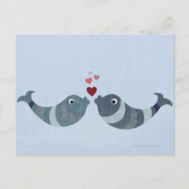 Fiske Kissing Vykort (Framsida)