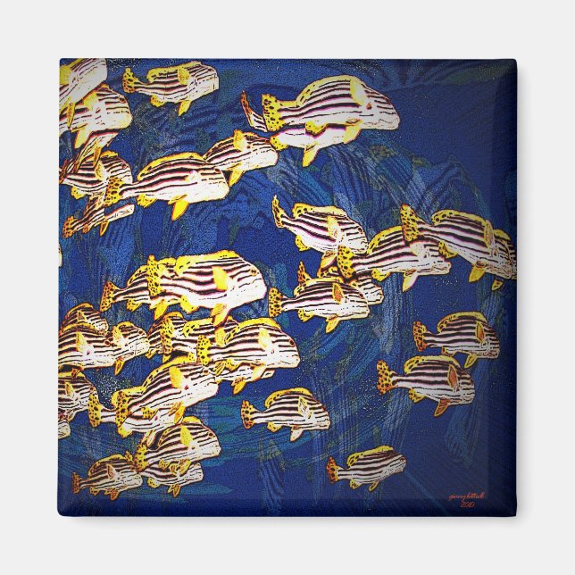 Fiske Magnet (Framsidan)