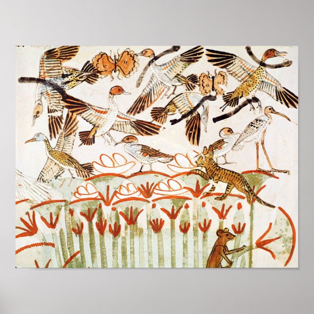 Fiske och rävning i våtmarker poster (Framsidan)