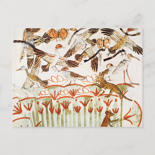 Fiske och rävning i våtmarker vykort (Framsida)