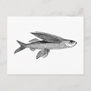Fiske vintage teckning vykort