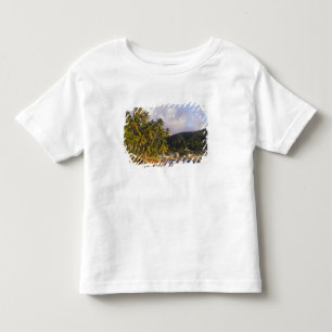 Fiskebåtar, Soufriere, St Lucia, Karibien T-shirt