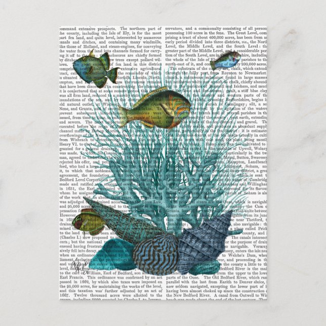 Fiskeblåa Snäckor och koraller Vykort (Framsida)