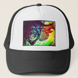 Fiskedagböcker #4 truckerkeps