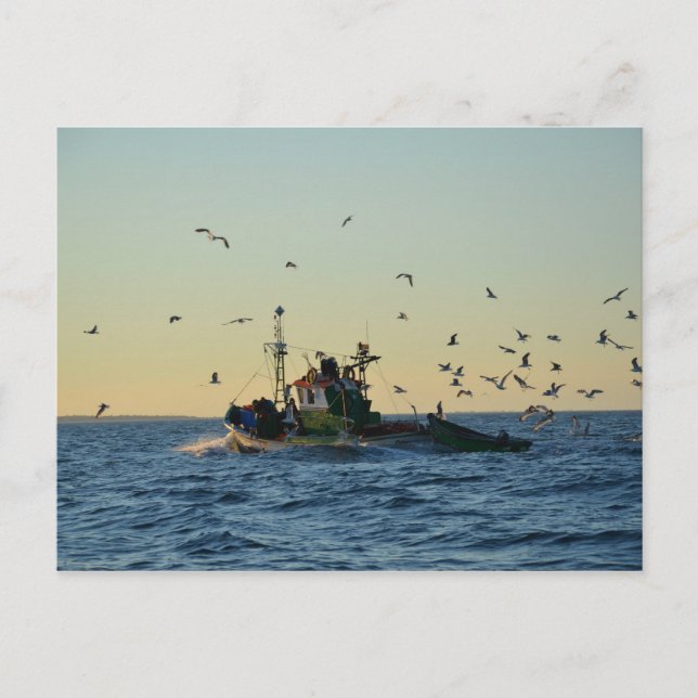 Fiskefartyg och matstrupe. vykort (Framsida)