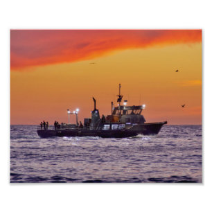 Fiskefartyg vid solnedgång - Marina del Rey, CA Fototryck