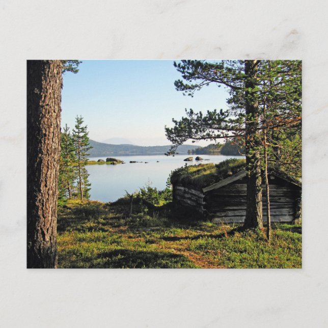 Fiskefisk Vykort (Framsida)