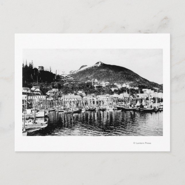 Fiskeflottan och Hjorten i Ketchikan Vykort (Framsida)