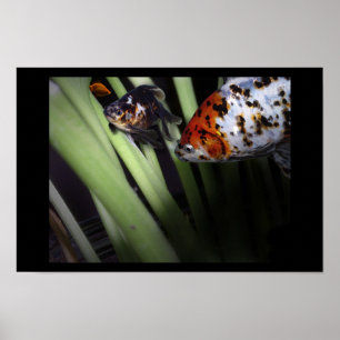 fiskeföretag poster