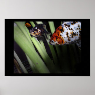 fiskeföretag poster