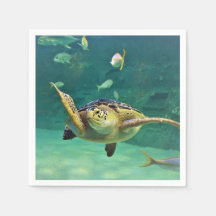 Fiskefoto från Turtle Sea Vatten