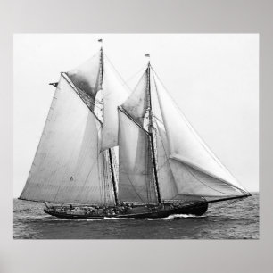 Fiskekola Poster