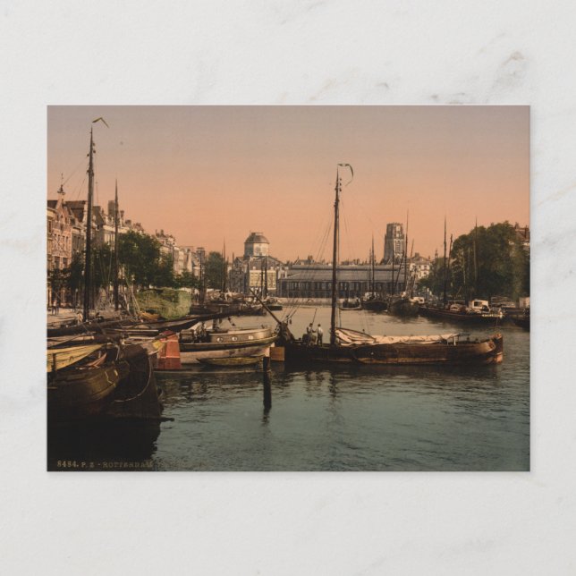 Fiskemarknaden i Rotterdam Vykort (Framsida)