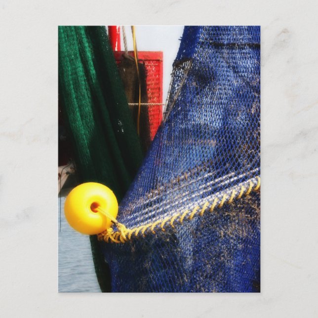 Fiskenät och flyter av färglöst krabba, florida vykort (Framsida)