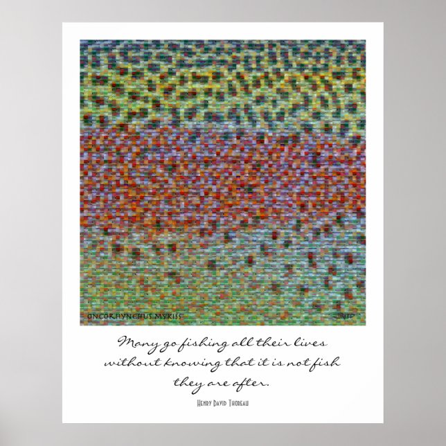 Fiskens Skinsar Montage Poster (Framsidan)