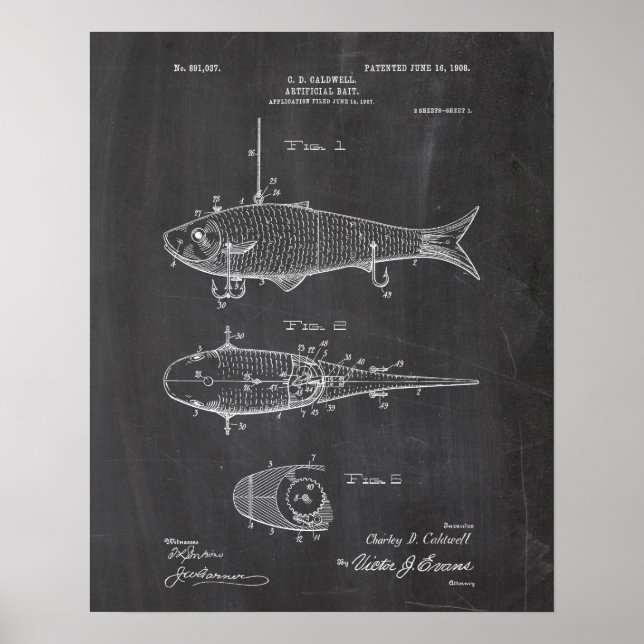 Fiskepatent Poster (Framsidan)