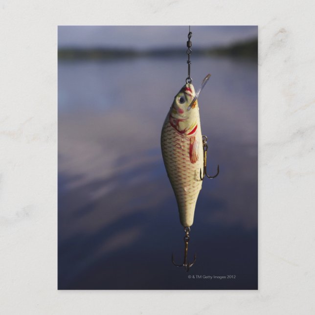 fisketur framför vatten vykort (Framsida)
