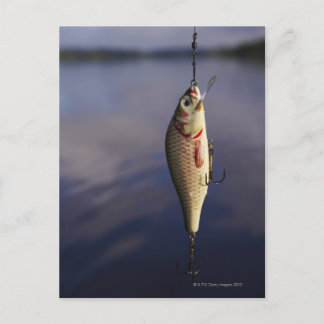 fisketur framför vatten vykort