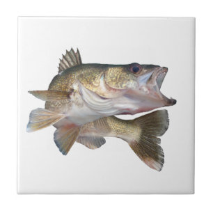 FiskeWalleye Kakelplatta