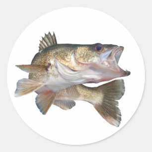 FiskeWalleye Runt Klistermärke