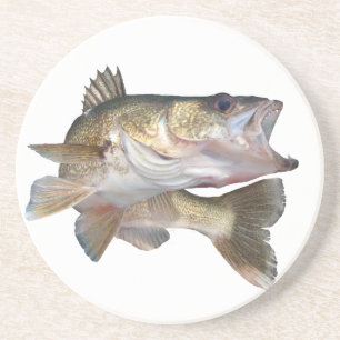 FiskeWalleye Underlägg