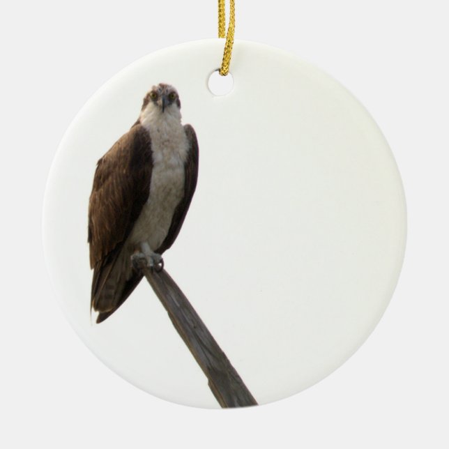 Fiskgjuse fågelornament  julgransprydnad keramik (Framsidan)