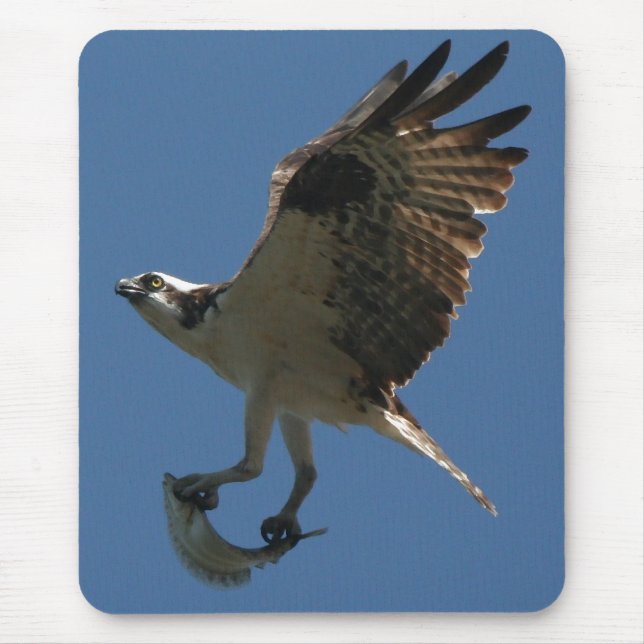 Fiskgjuse/fisk Mousepad Musmatta (Framsidan)