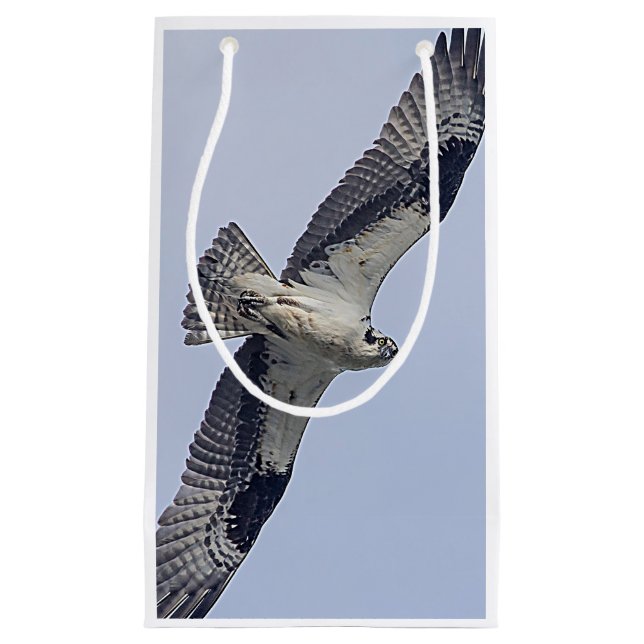 Fiskgjuse i flyg (Framsidan)