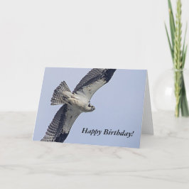 Fiskgjuse i flykten kort