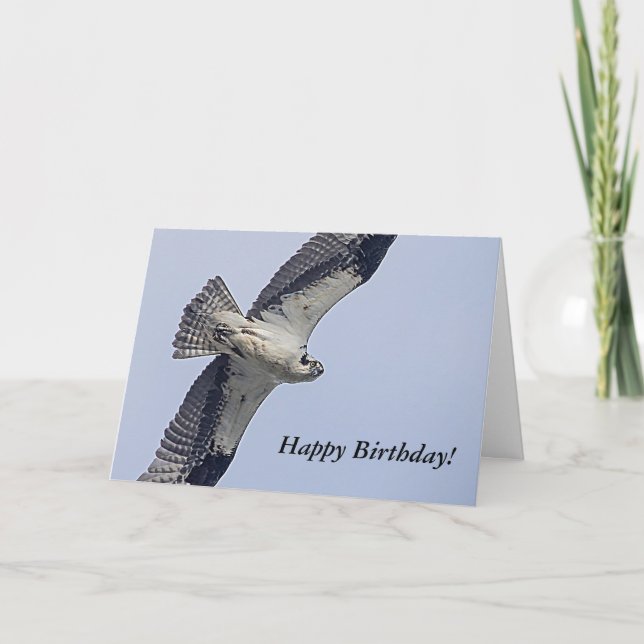 Fiskgjuse i flykten kort (Framsida)