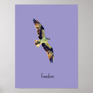 Fiskgjuse konst poster