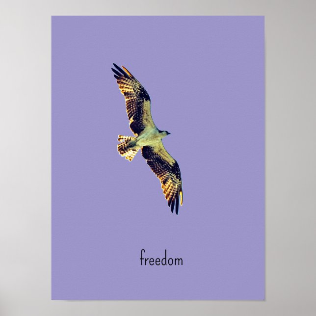 Fiskgjuse konst poster (Framsidan)
