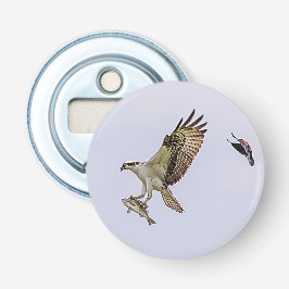 Fiskgjuse som jagas av en röd bevingad blackbird flasköppnare